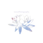 画像に alt 属性が指定されていません。ファイル名: 1.2月キャンペーン3-1-150x150.jpg